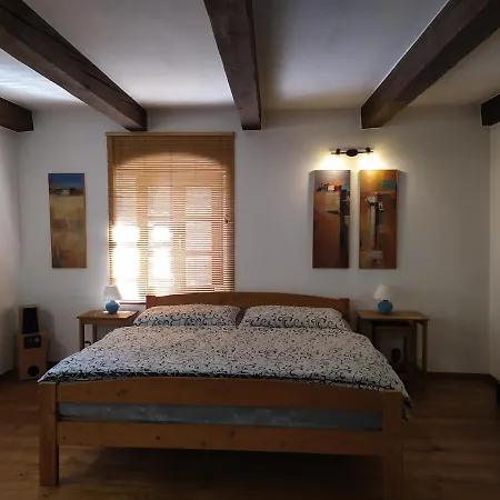 Forest Rustic Brdy Vesin