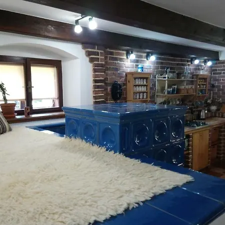 Forest Rustic Brdy Vesin