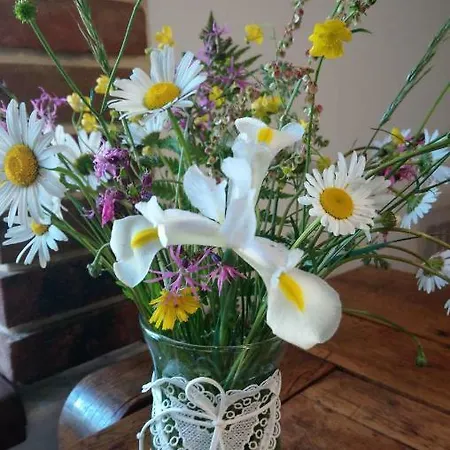 Forest Rustic Brdy * Vesin