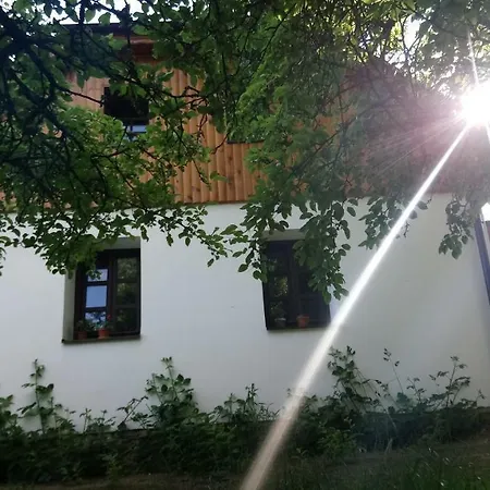 Forest Rustic Brdy 公寓 Vesin