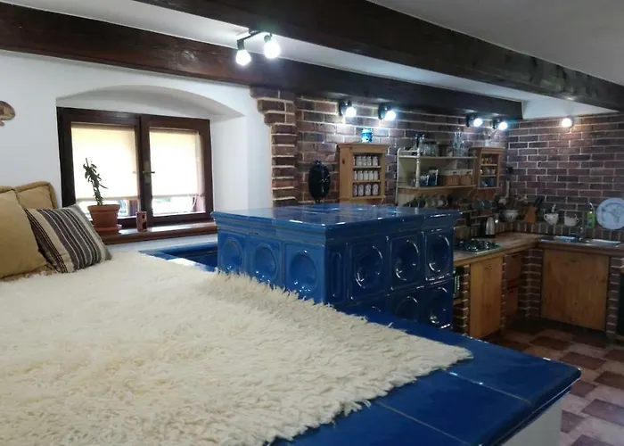 Forest Rustic Brdy Vesin