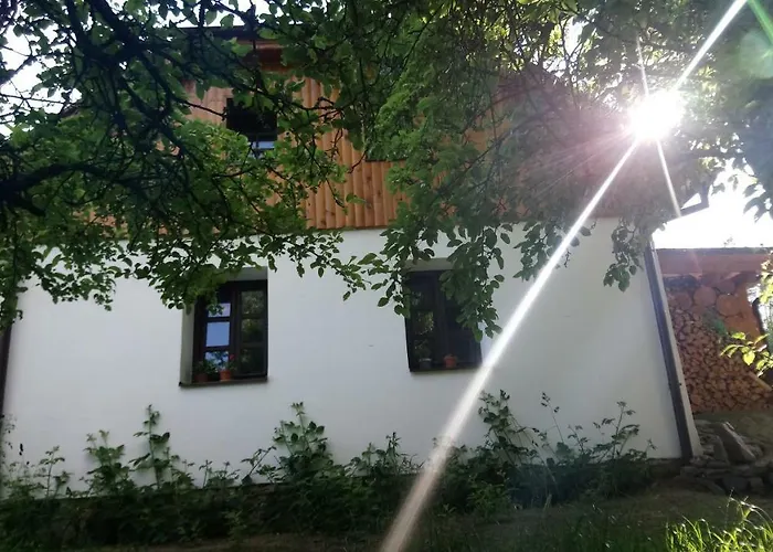 Forest Rustic Brdy Appartement Vesin